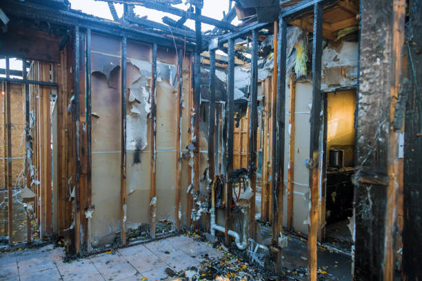 Professional Fire Damage Removal technician working in Point Pleasant, PA