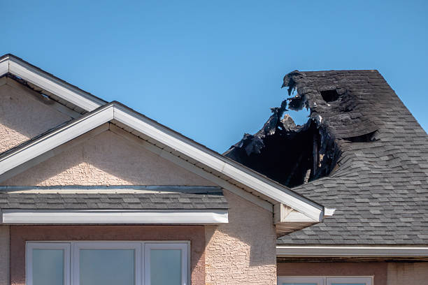 Top rated local Fire Damage Removal specialists in Point Pleasant, PA